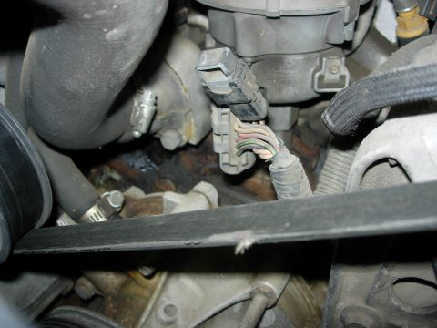1990 Ford Bronco - Engine compartment detail showing wiring harness and distributor components.
