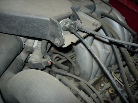 1990 Ford Bronco - Close-up view of engine components, including spark plug wires and intake manifold.
