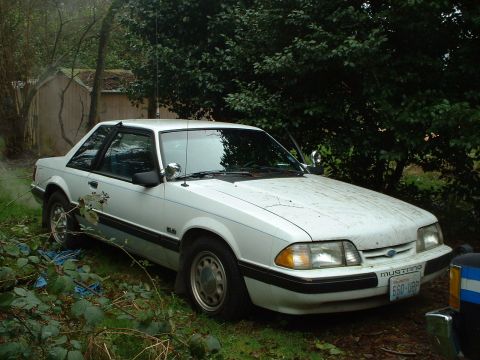 1987 Ford Mustang - A white 1987 Ford Mustang coupe is seen parked in an overgrown area with a shed in the background.