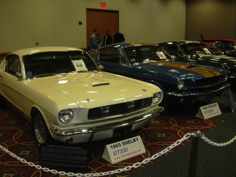 1996 Ford Crown Victoria - A cream 1965 Shelby GT350 is displayed at an auto show, with a blue 1966 Shelby GT350H behind it.