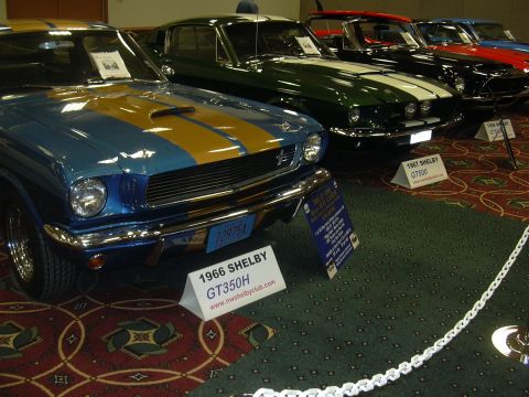1996 Ford Crown Victoria - A line of classic Mustangs, including a 1966 Shelby GT350H, are displayed indoors on a carpeted floor.
