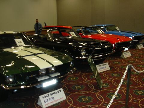 1996 Ford Crown Victoria - Several Shelby Mustangs are lined up at a car show, with signs indicating their models and years.
