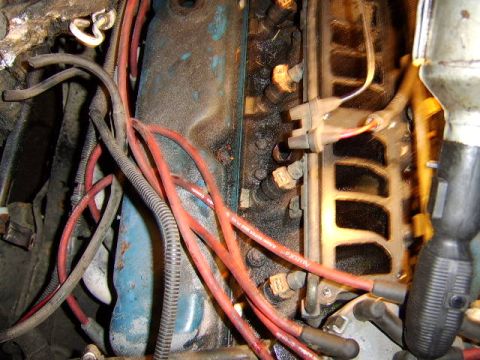 1989 Ford Bronco - Close-up of a dirty, greasy engine bay showing a cylinder head with exhaust manifold, spark plug wires routed to plug boots, and multiple r…