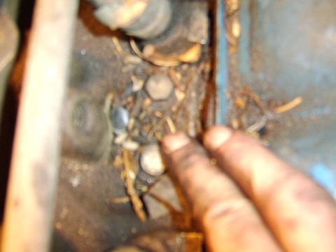 1989 Ford Bronco - you can't tell from this pic, but there is either mouse or rat terds here. I don't know when it would get there since I drive my truck dail…