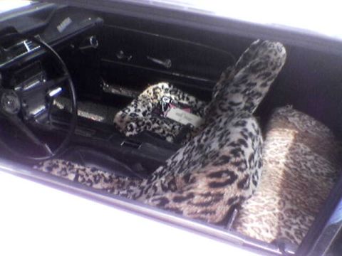1988 Ford Bronco - The interior of a car is visible, leopard print seat covers.