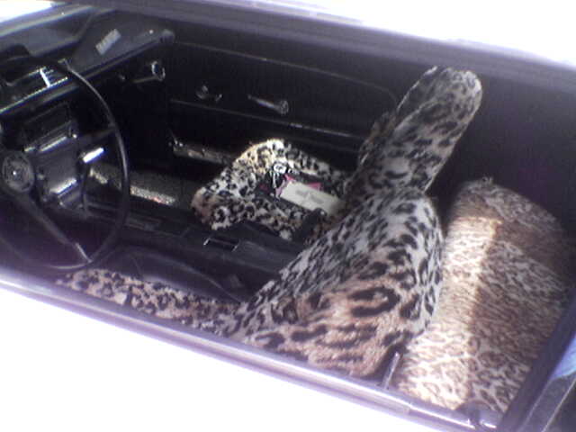 Car interior with leopard print seat covers on the seats and floor