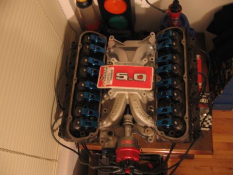 1988 Mercury Grand Marquis - 5.0 emblem on motor Feb. '07