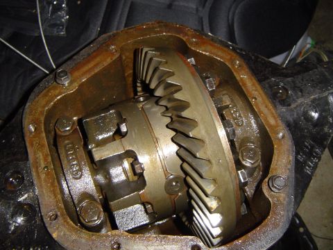 1989 Ford Bronco - Close-up of differential gears within the housing.