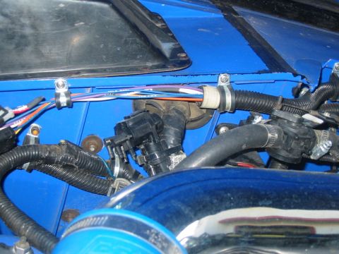 1986 Ford Bronco - Close-up of an engine bay showing a complex wiring harness and various hoses.