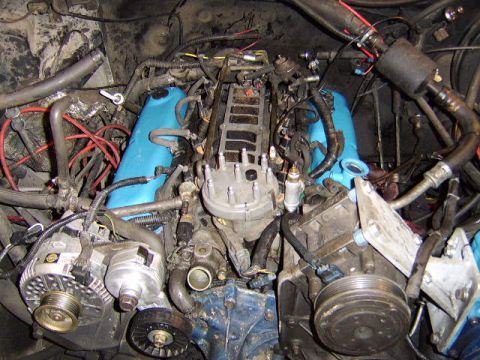 1989 Ford Bronco - Engine bay view of a V-style pushrod engine with blue-painted valve covers, a central distributor with plug wires, an alternator, and a bel…