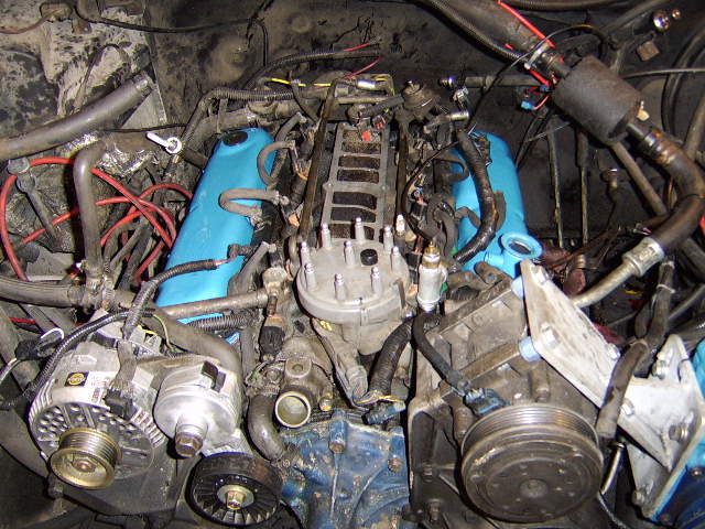 Engine bay with blue valve covers, distributor, alternator, and accessory pulleys
