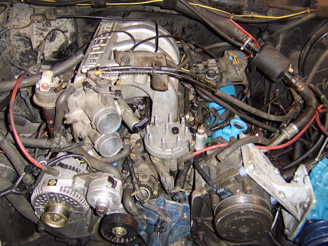 Top-down view of a V8 engine bay with intake manifold, distributor, and alternator