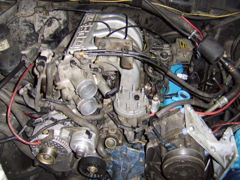 1989 Ford Bronco - Overhead view of a Ford V8 engine bay showing the upper intake manifold with fuel injection, distributor cap, alternator with serpentine be…