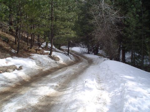 1992 Ford Bronco - A long, steep icy hill that stopped more than one rig.
