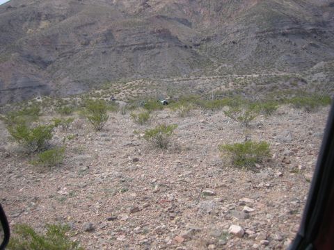 1996 Ford Bronco - Multiple vehicles are parked in a desolate, rocky desert area with sparse vegetation and mountains in the distance.