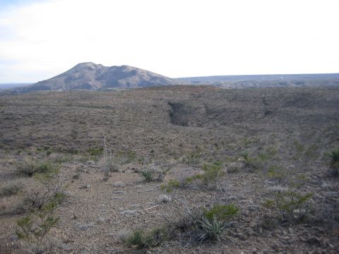 1996 Ford Bronco - A wide view of a desert landscape under a hazy sky, with mountains on the horizon.
