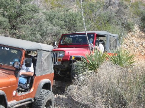 1996 Ford Bronco - Two Jeeps navigate a challenging off-road trail surrounded by arid vegetation.