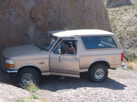 1996 Ford Bronco - A tan Ford Bronco is parked on a dirt road next to a large rock formation. The driver's door is open and a dog is in the driver's seat.