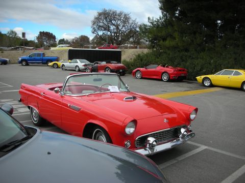 1998 Ford Crown Victoria - red 1955-era Ford Thunderbird convertible with chrome grille and hood scoop parked among Ferraris and other sports cars at a meet.