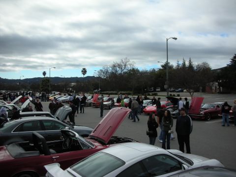 1998 Ford Crown Victoria - Cars with open hoods line a parking lot as people walk among them at an outdoor automotive gathering.