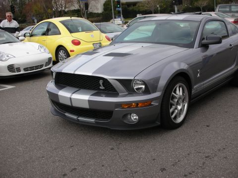 1998 Ford Crown Victoria - gray Shelby GT500-style Mustang with twin silver stripes and a cobra badge parked beside a yellow Beetle at a meet.