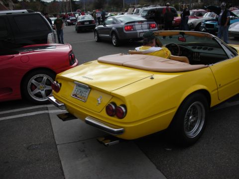 1998 Ford Crown Victoria - yellow Ferrari Daytona Spyder with the driver seated, parked among Ferraris, Mustangs and other cars in a packed lot.