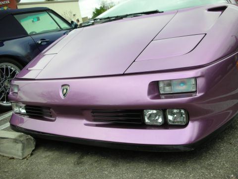 1998 Ford Crown Victoria - Tight shot of a purple Lamborghini's front nose, centered on the gold bull-shield badge and a flip-up headlight unit.