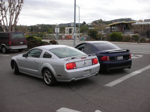 1998 Ford Crown Victoria - silver Ford Mustang coupe and a dark Pontiac GTO sit parked rear-to-camera in a lot with hills and a building behind.