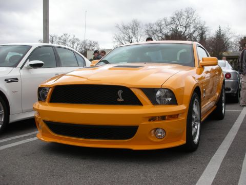 1998 Ford Crown Victoria - orange Shelby Mustang with a cobra emblem in the grille and chrome-edged wheels parked at an outdoor car gathering.