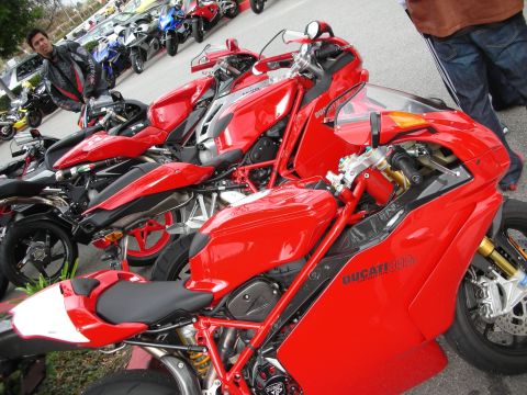1998 Ford Crown Victoria - lineup of red Ducati superbikes, including a model badged 999, parked together at an outdoor bike gathering.