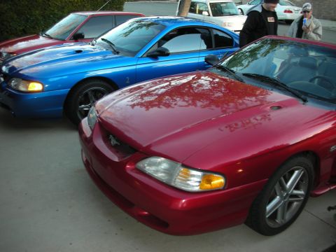 1998 Ford Crown Victoria - dark red Ford Mustang sits front to front beside a blue Mustang in a driveway as two men stand in the background.
