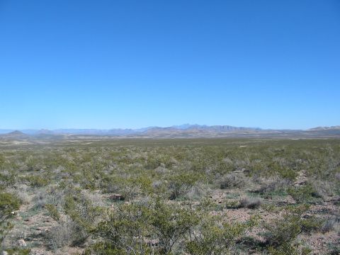 1996 Ford Bronco - Expansive desert scenery with low-lying vegetation and mountains on the horizon.