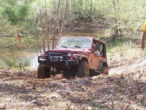 1981 Ford Bronco photo