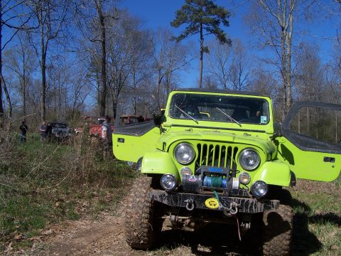 1981 Ford Bronco photo