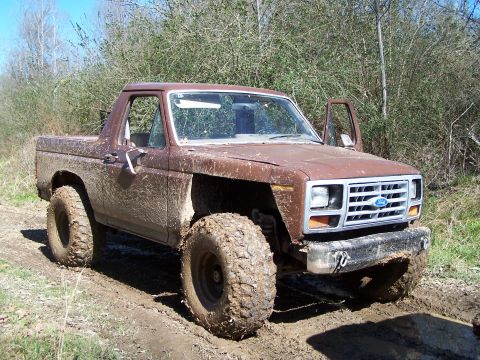 1981 Ford Bronco photo