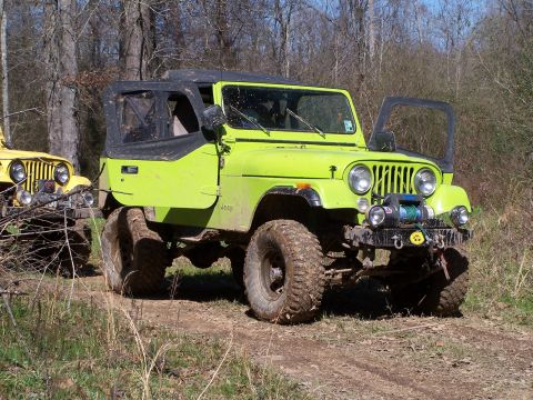 1981 Ford Bronco photo