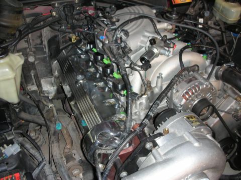 1992 Ford Crown Victoria - A close-up view of a supercharged V8 engine bay, featuring a polished chrome valve cover, an alternator, and various hoses and wiring.