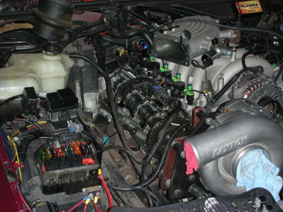 Engine bay with Paxton supercharger, fuse box, and coolant reservoir