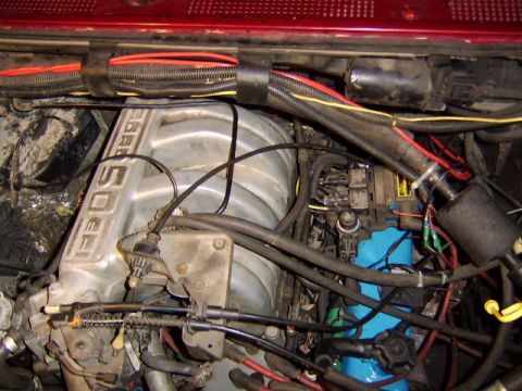 1989 Ford Bronco - Engine bay view of a Ford 5.0L V8, showing the aluminum intake manifold embossed '5.0L', with black vacuum hoses, red and yellow wiring, an…