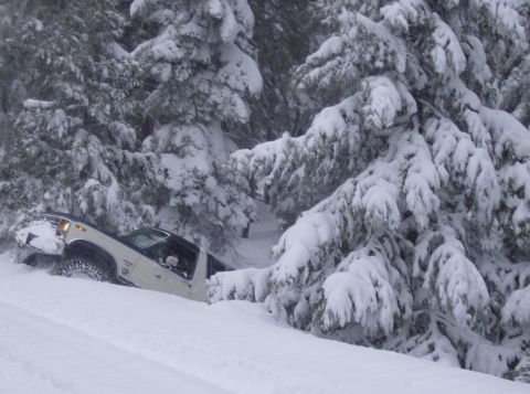 1986 Ford Bronco - A 1986 Ford Bronco is stuck in the snow, partially buried by a drift next to snow-laden trees.