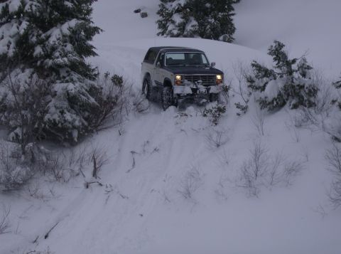 1986 Ford Bronco - A Ford Bronco navigates a snow-covered trail surrounded by winter trees.