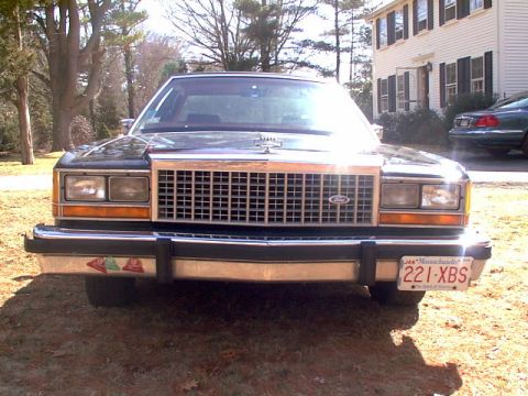 1987 Ford Crown Victoria LTD - Front end, the last thing most racoons and squirrels see.