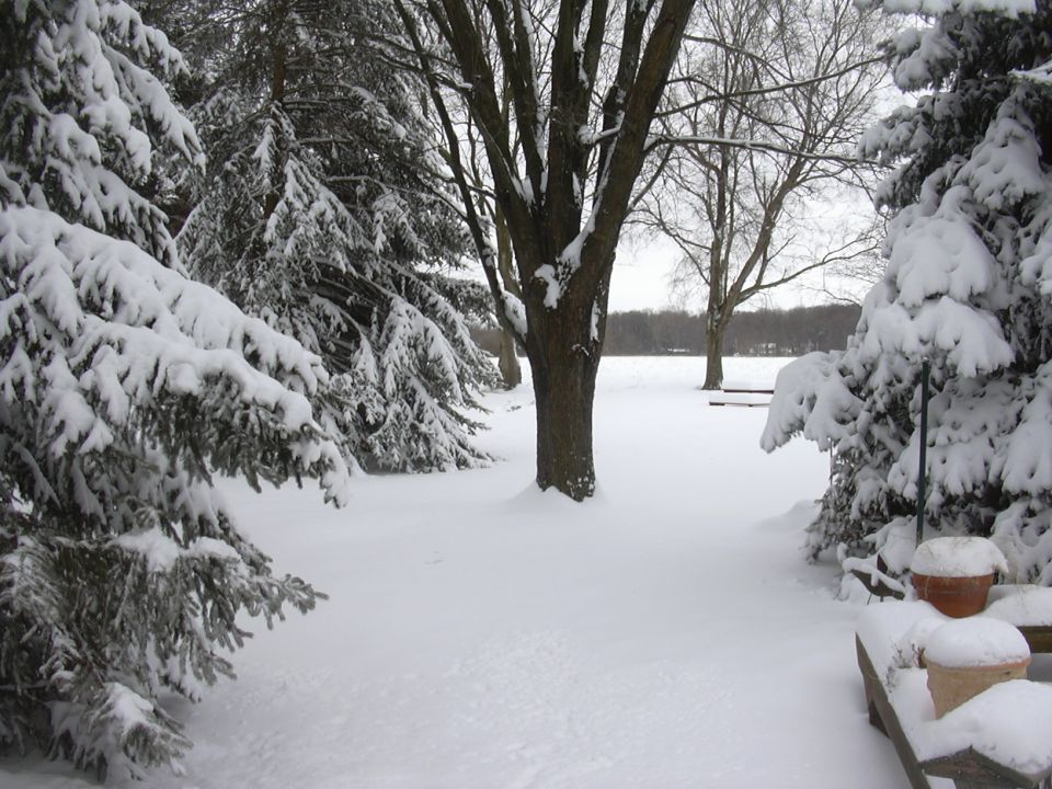 Snow-covered trees and ground in a winter landscape. Watermark reads SUPERMOTORS.NET
