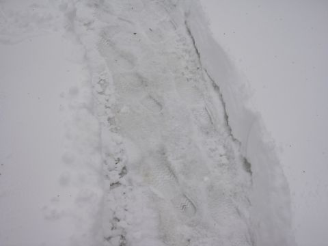 1996 Ford Crown Victoria - Tire tracks and footprints are visible in the snow, indicating recent activity.