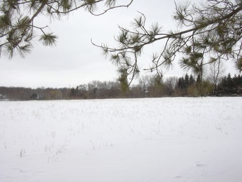 1996 Ford Crown Victoria - Winter scene with a snow-covered field and trees under an overcast sky. Supermotors watermark visible.