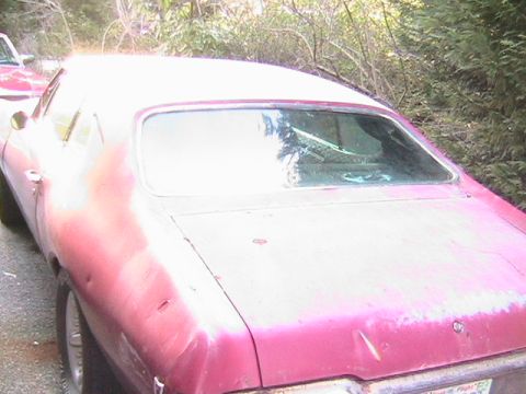 1968 Pontiac Lemans photo