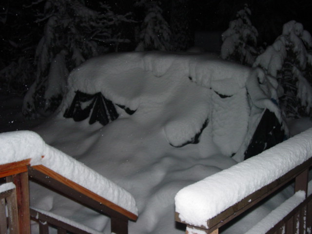 vehicle buried under snow with some dark shapes visible on top