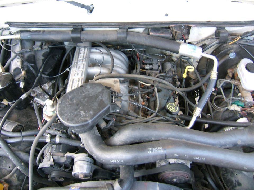 Open engine bay of white Ford truck showing fuel-injected V8 intake and hoses