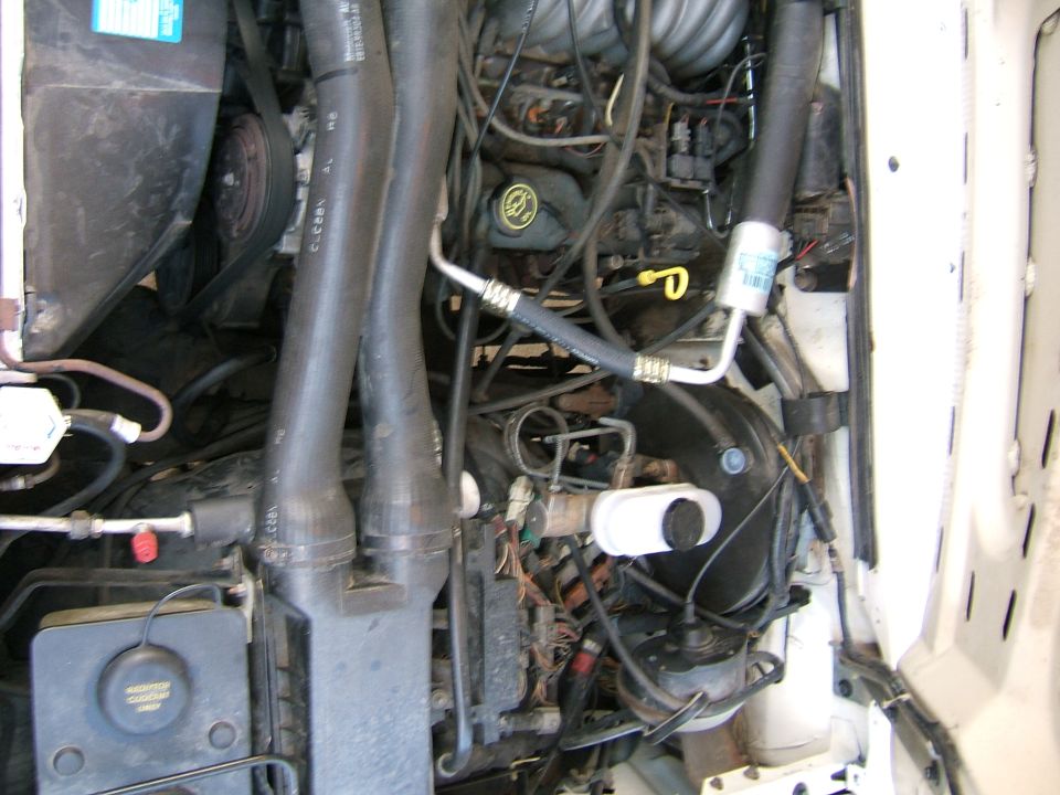 Engine bay with hoses, belts, and engine components visible