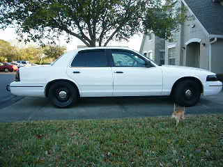 2000 Ford Crown Victoria - Side view of a white 2000 Ford Crown Victoria parked on a residential street.